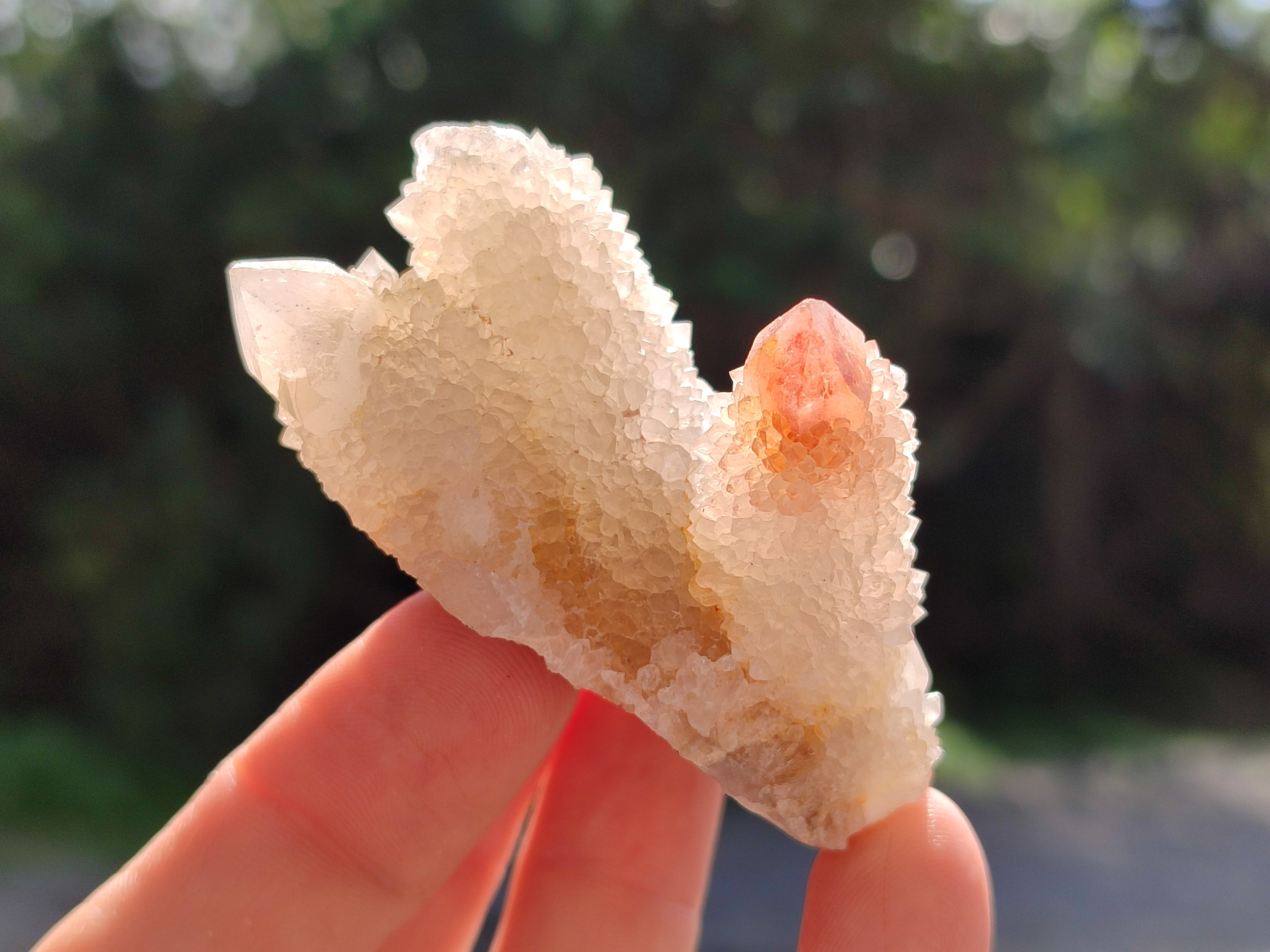 Natural Mixed Spirit Quartz Clusters x 50 From Boekenhouthoek, South Africa - Toprock Gemstones and Minerals 