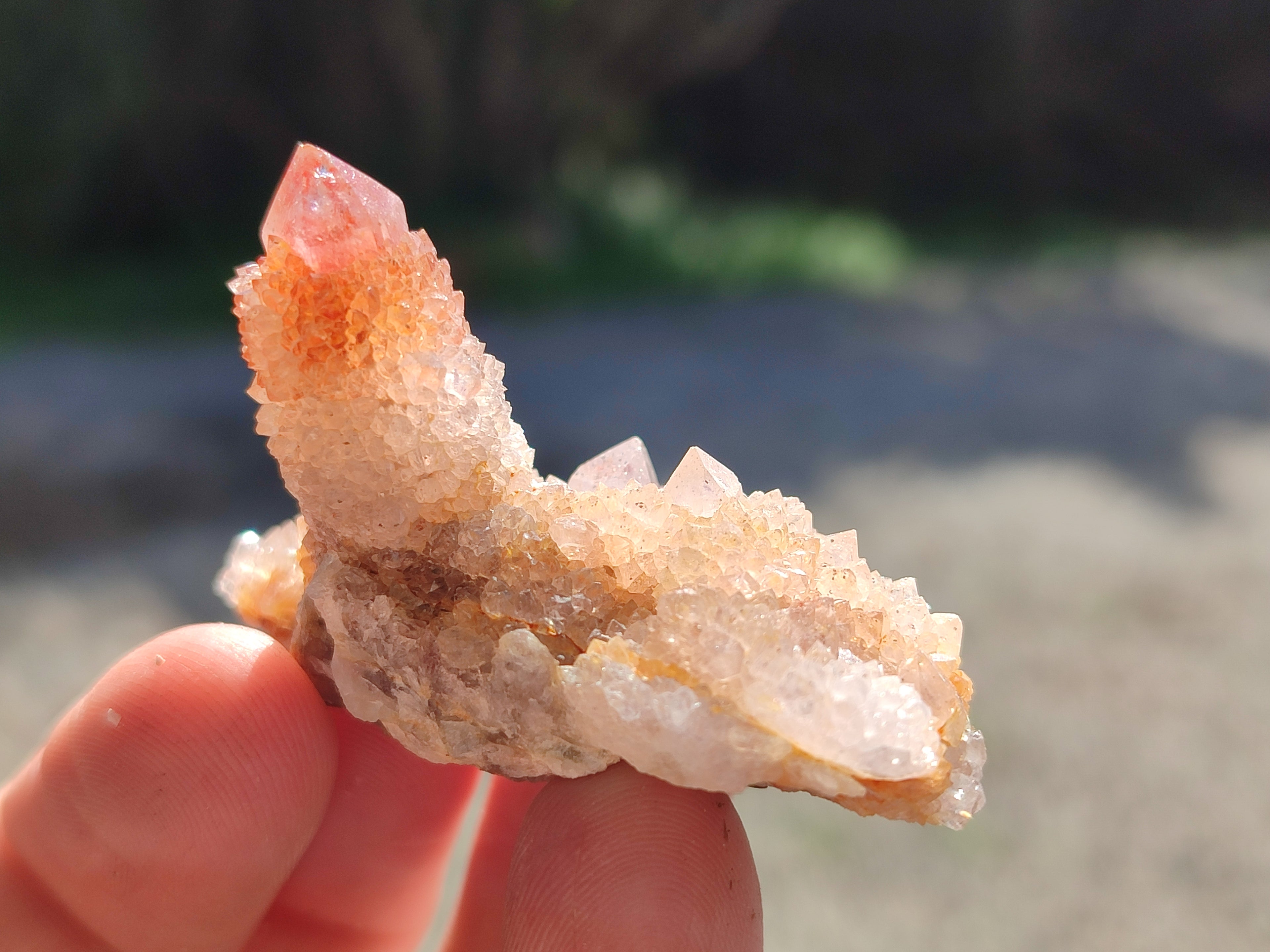 Natural Mixed Spirit Quartz Clusters x 50 From Boekenhouthoek, South Africa - Toprock Gemstones and Minerals 