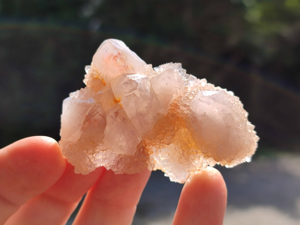Natural Mixed Spirit Quartz Clusters x 50 From Boekenhouthoek, South Africa - Toprock Gemstones and Minerals 