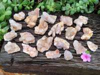 Natural Mixed Spirit Quartz Clusters x 50 From Boekenhouthoek, South Africa - Toprock Gemstones and Minerals 