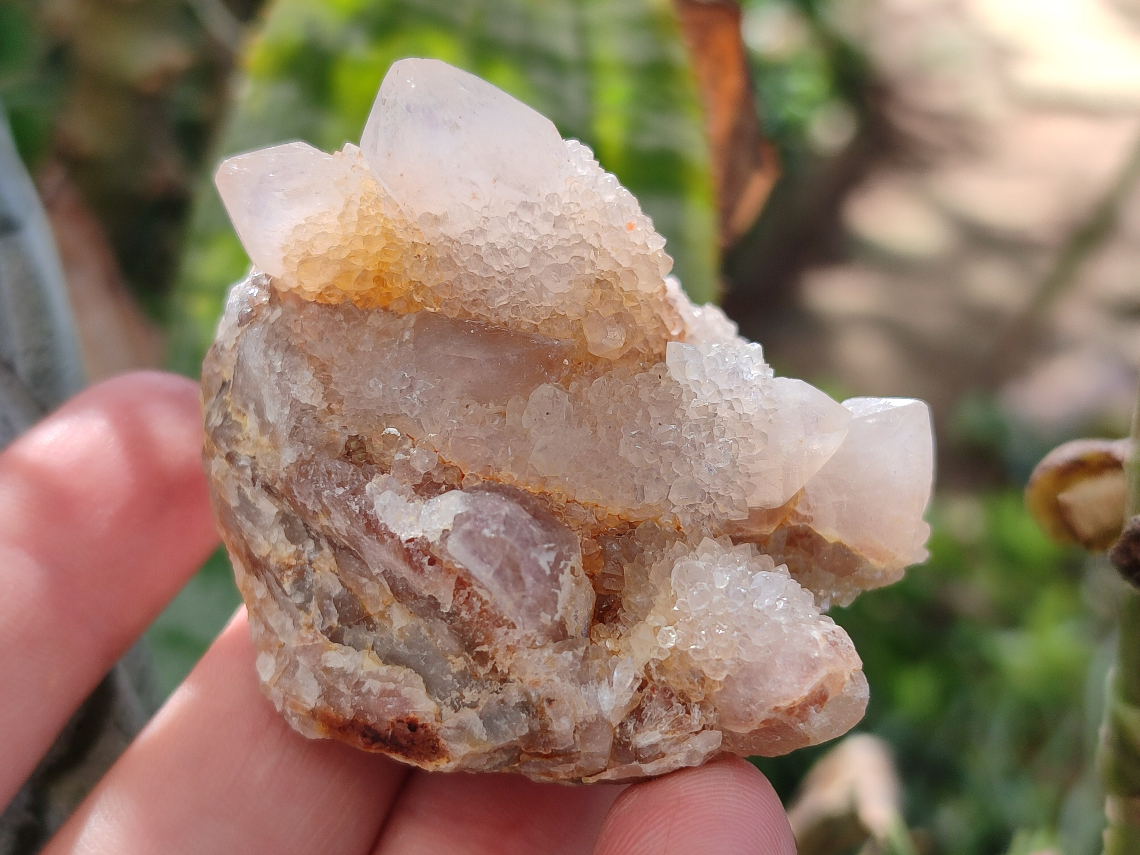 Natural Mixed Spirit Quartz Clusters x 50 From Boekenhouthoek, South Africa - Toprock Gemstones and Minerals 