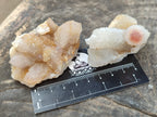Natural Mixed Spirit Quartz Clusters x 50 From Boekenhouthoek, South Africa - Toprock Gemstones and Minerals 