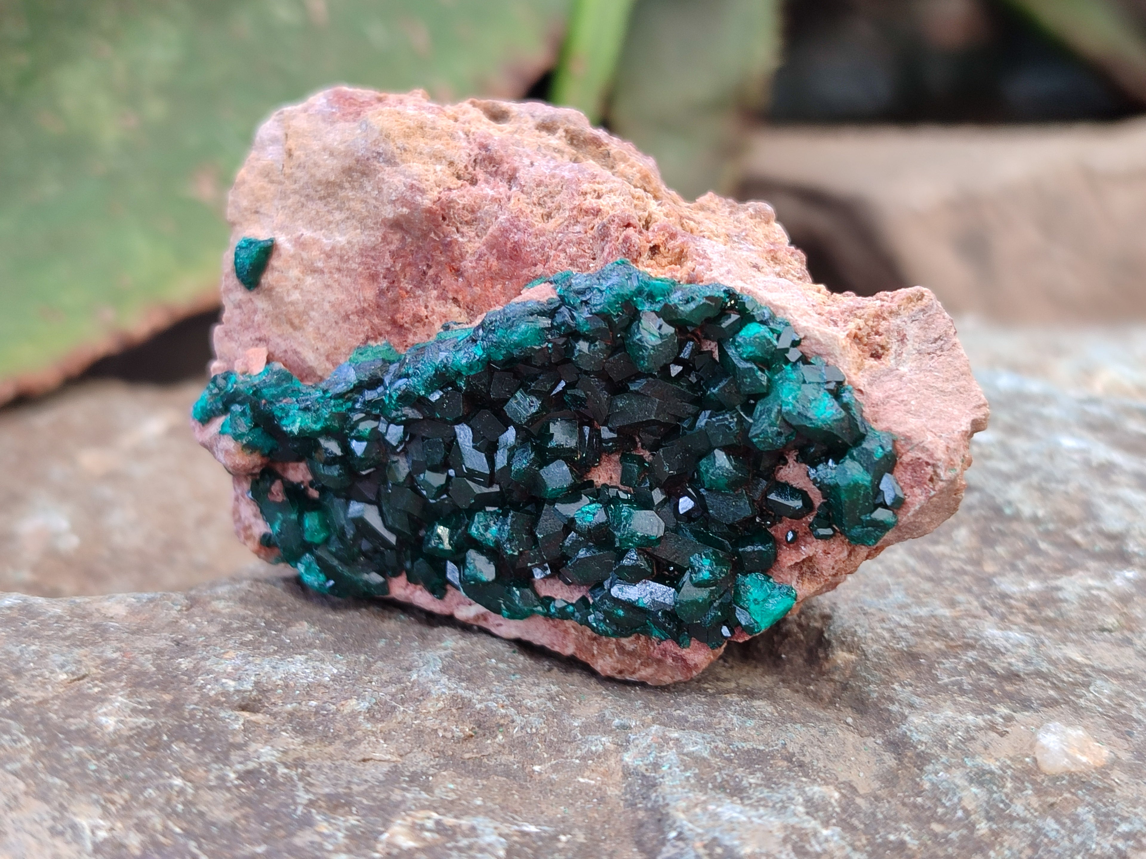 Natural Dioptase On Dolomite Specimens x 6 From Likasi, Congo - Toprock Gemstones and Minerals 