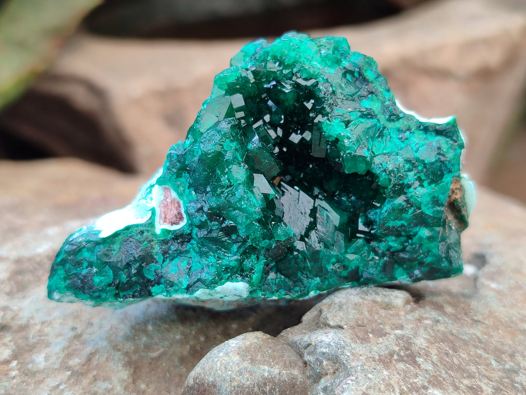 Natural Dioptase On Dolomite Specimens x 6 From Likasi, Congo - Toprock Gemstones and Minerals 