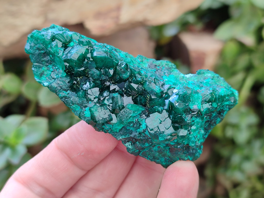 Natural Dioptase On Dolomite Specimens x 6 From Likasi, Congo - Toprock Gemstones and Minerals 