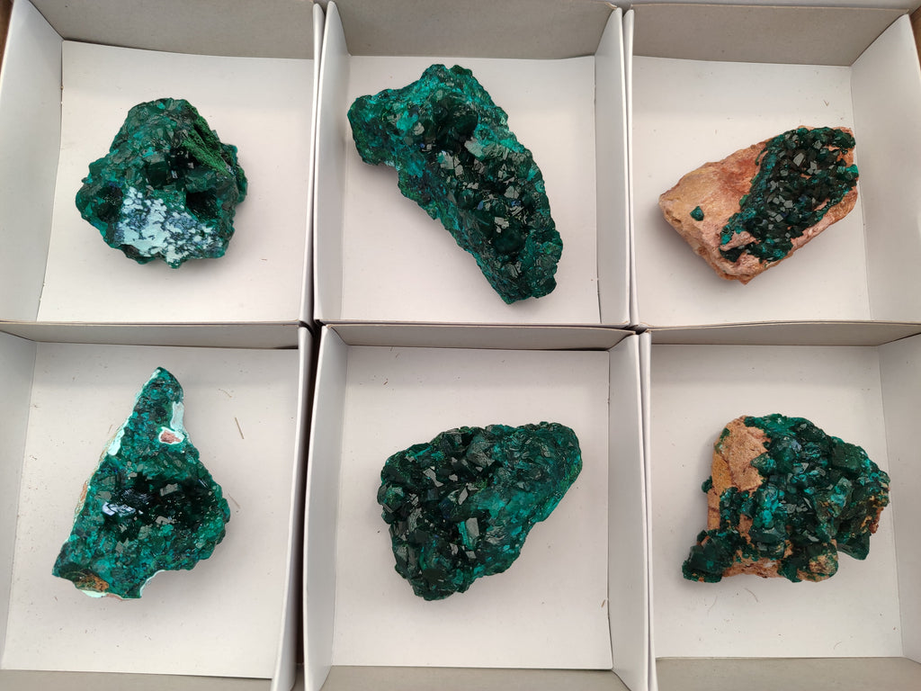 Natural Dioptase On Dolomite Specimens x 6 From Likasi, Congo - Toprock Gemstones and Minerals 