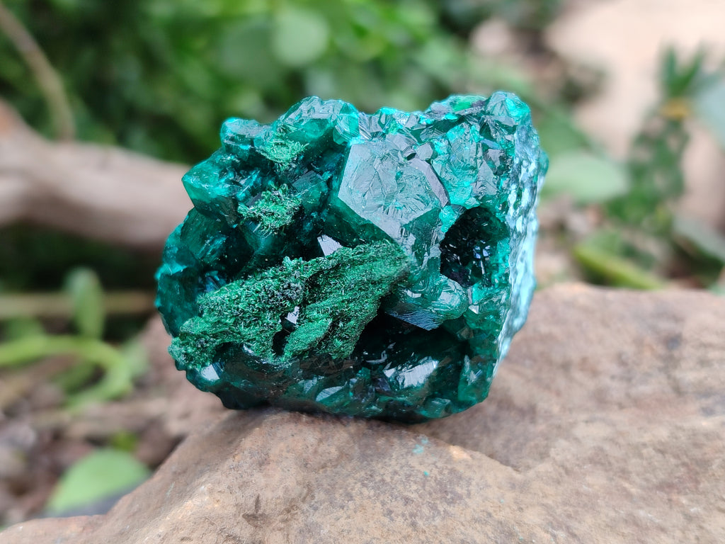 Natural Dioptase On Dolomite Specimens x 6 From Likasi, Congo - Toprock Gemstones and Minerals 