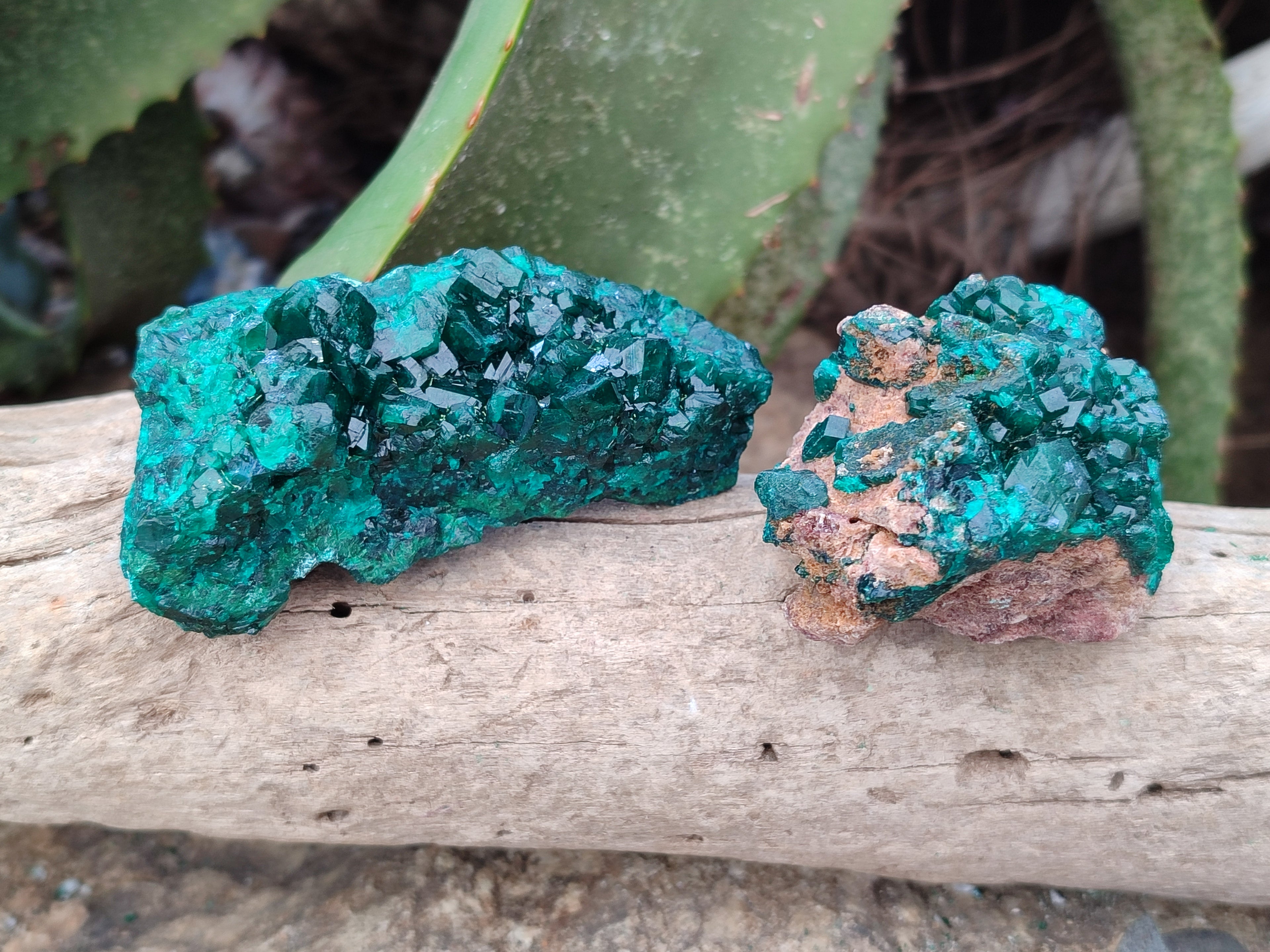 Natural Dioptase On Dolomite Specimens x 6 From Likasi, Congo - Toprock Gemstones and Minerals 