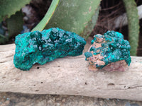 Natural Dioptase On Dolomite Specimens x 6 From Likasi, Congo