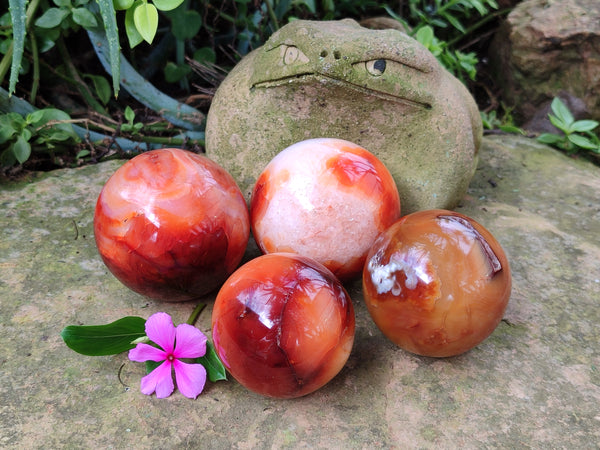 Polished Carnelian Spheres x 4 From Madagascar