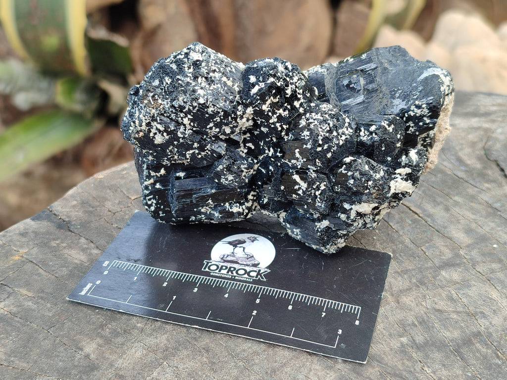 Natural Mixed selection of Minerals x 2 From Namibia - Toprock Gemstones and Minerals 