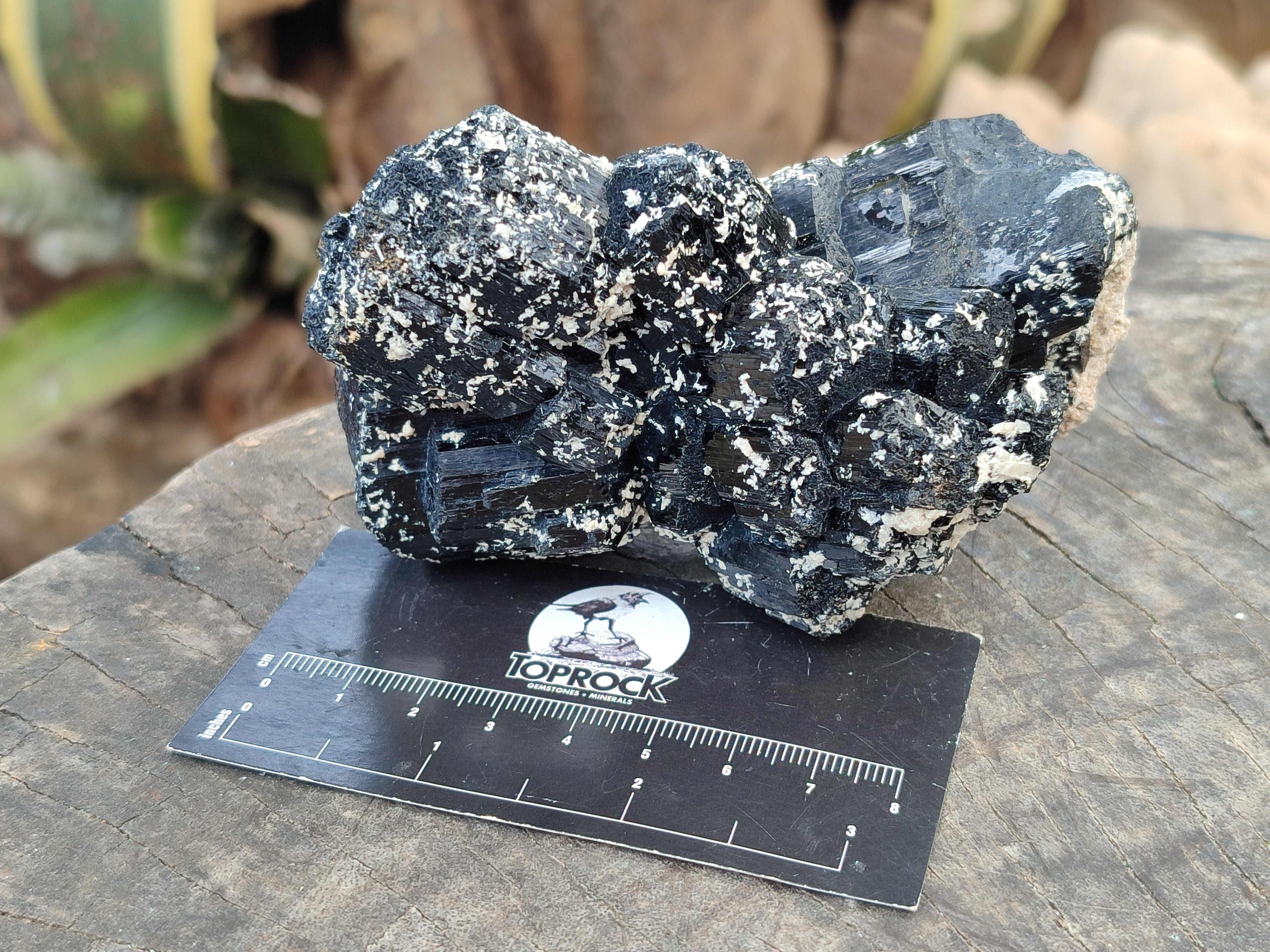 Natural Mixed selection of Minerals x 2 From Namibia - Toprock Gemstones and Minerals 