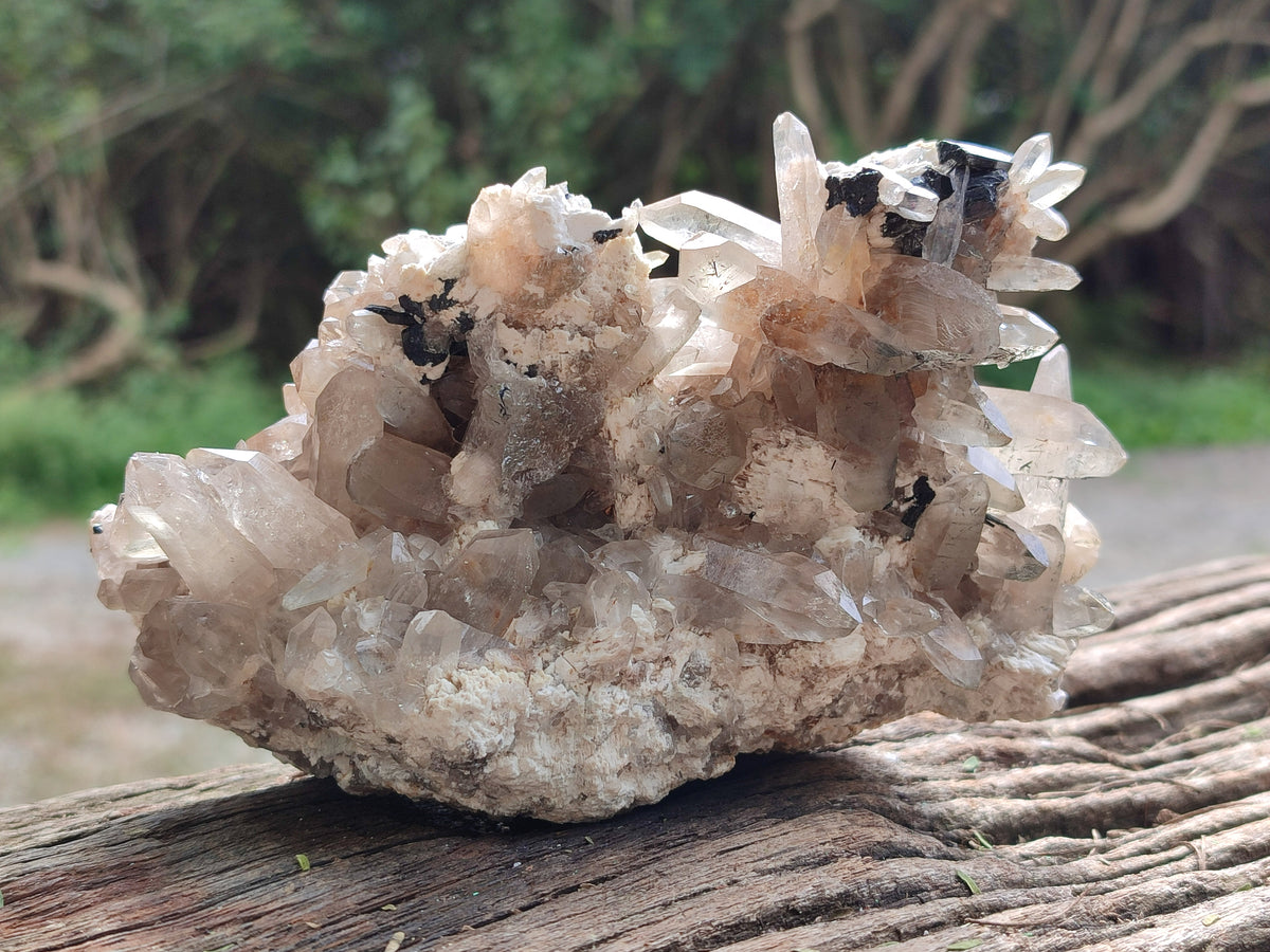 Natural Mixed selection of Minerals x 2 From Namibia - Toprock Gemstones and Minerals 