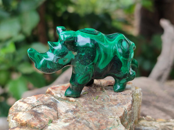 Polished Flower Banded Malachite Rhinos x 6 From Congo