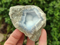 Natural Blue Lace Agate Geode Specimens x 12 From Nsanje, Malawi