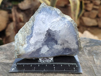 Natural Blue Lace Agate Geode Specimens x 12 From Nsanje, Malawi