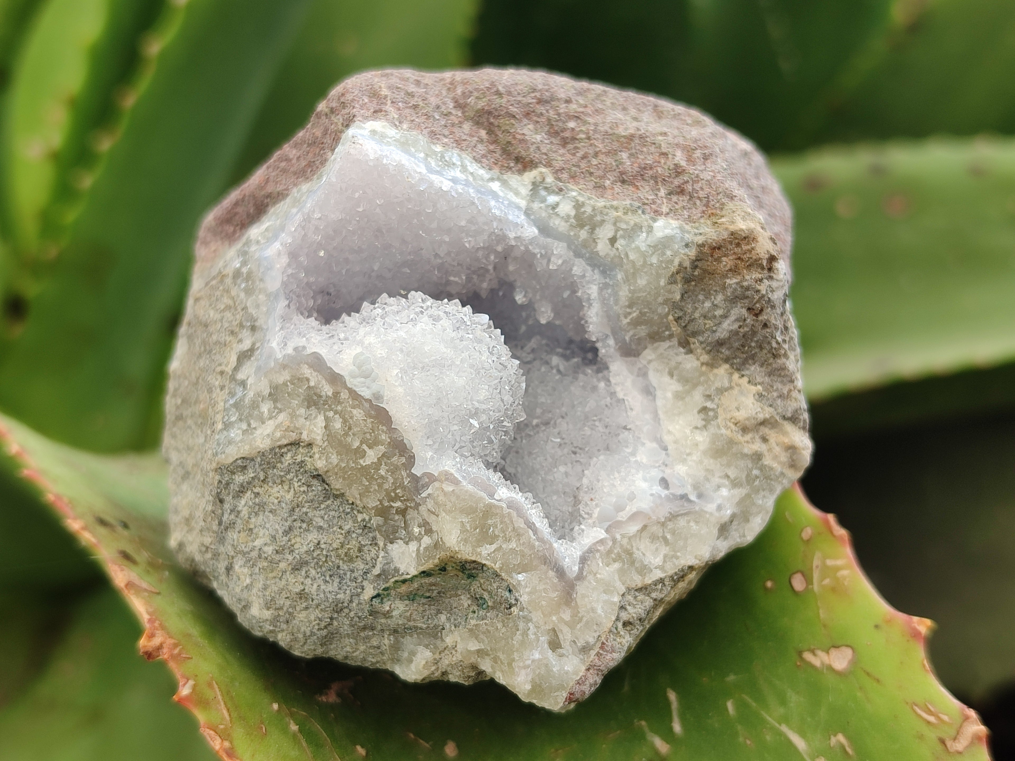 Natural Blue Lace Agate Geode Specimens x 12 From Nsanje, Malawi - Toprock Gemstones and Minerals 