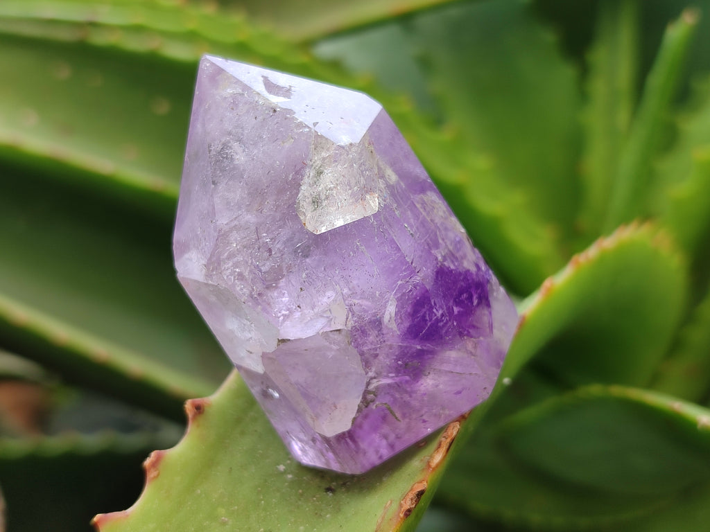 Polished Window Amethyst Quartz Points x 12 From Akansobe, Madagascar - Toprock Gemstones and Minerals 