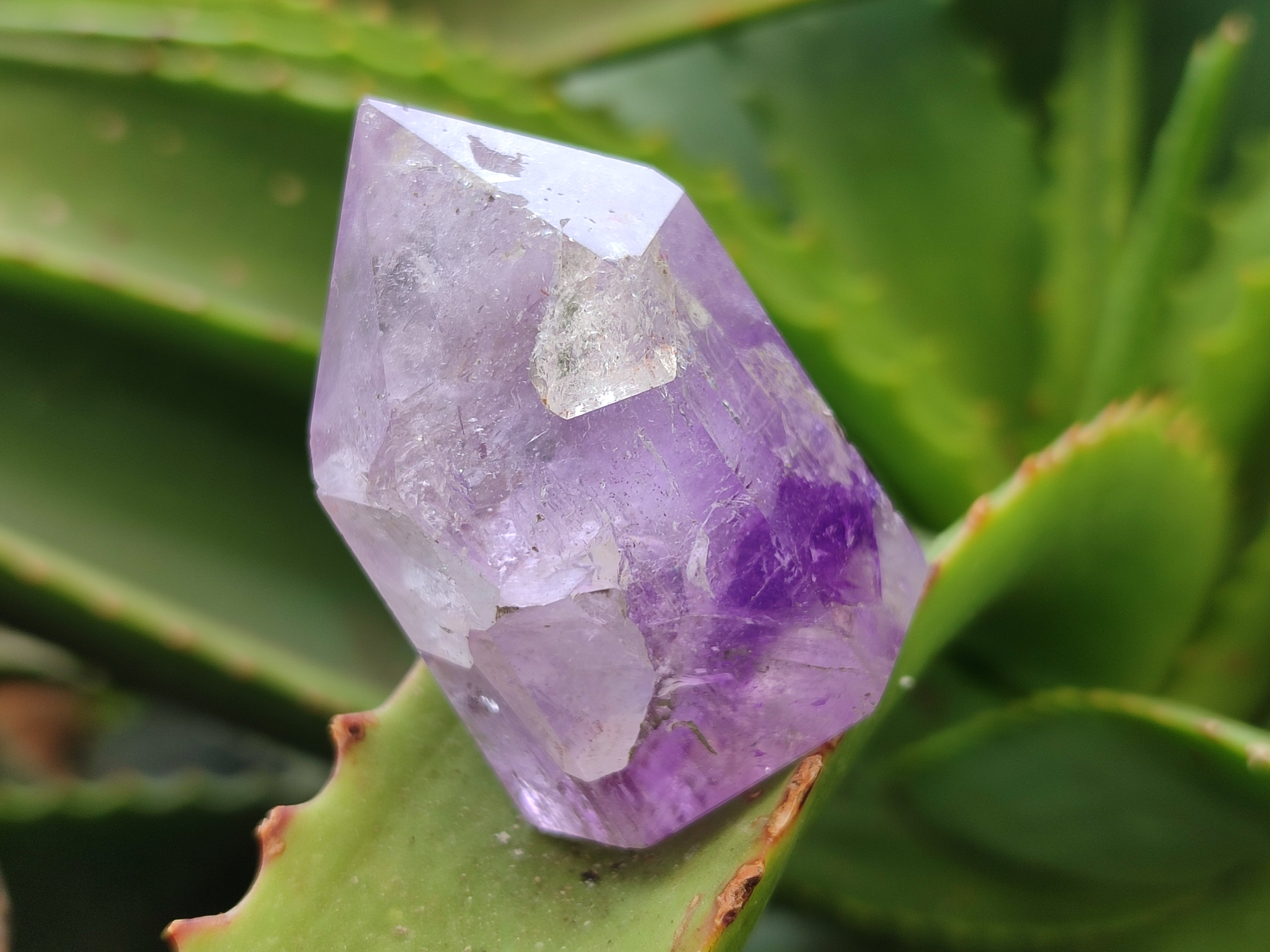 Polished Window Amethyst Quartz Points x 12 From Akansobe, Madagascar - Toprock Gemstones and Minerals 
