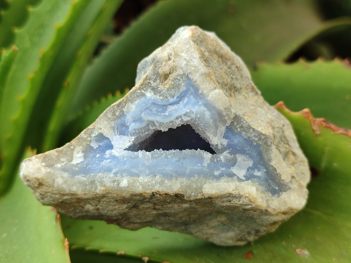 Natural Blue Lace Agate Geode Specimens x 6 From Nsanje, Malawi - Toprock Gemstones and Minerals 