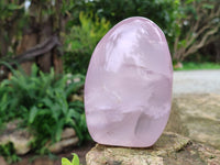 Polished Rose Quartz Standing Free Forms x 2 From Ambatondrazaka, Madagascar