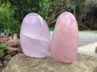 Polished Rose Quartz Standing Free Forms x 2 From Ambatondrazaka, Madagascar