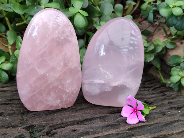 Polished Rose Quartz Standing Free Forms x 2 From Ambatondrazaka, Madagascar