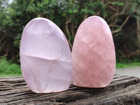 Polished Rose Quartz Standing Free Forms x 2 From Ambatondrazaka, Madagascar