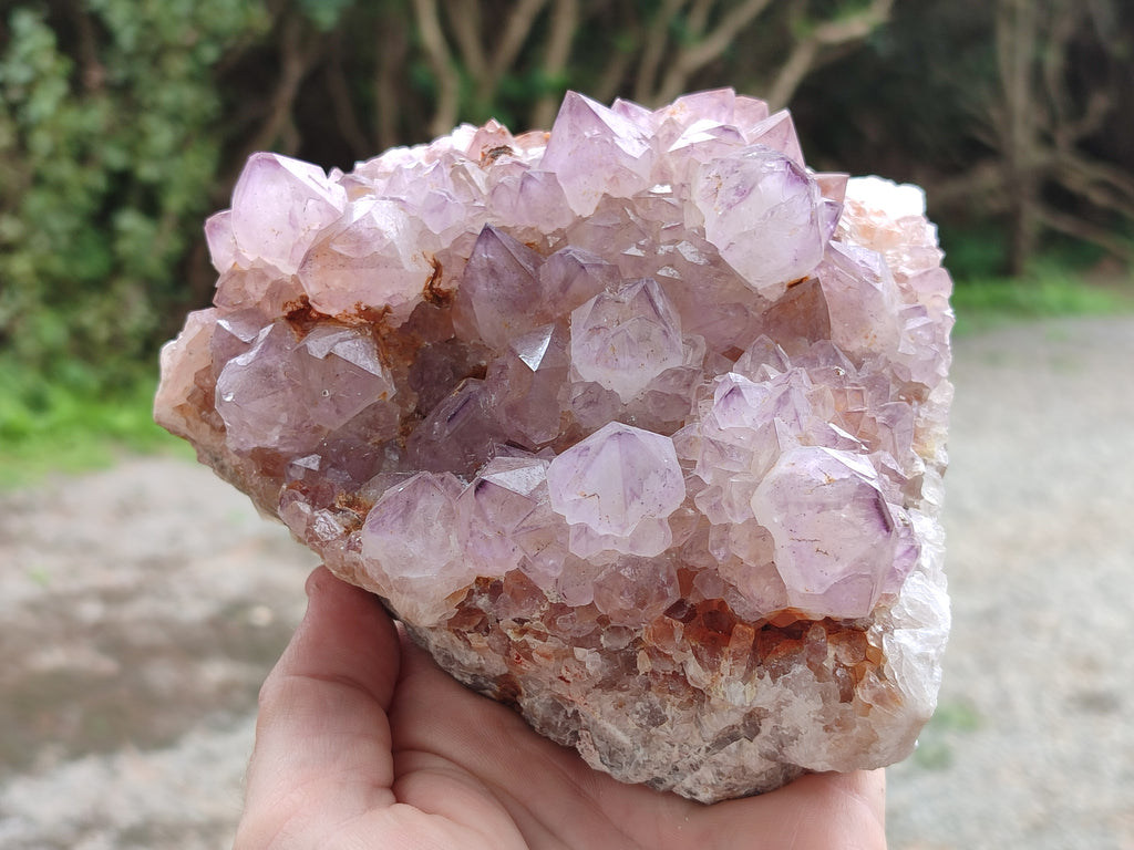Natural Amethyst Spirit Quartz Clusters x 2 From Boekenhouthoek, South Africa - Toprock Gemstones and Minerals 
