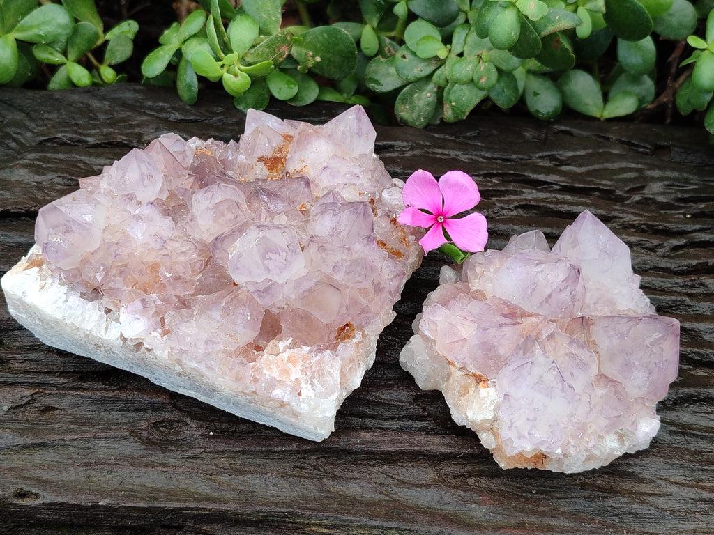 Natural Amethyst Spirit Quartz Clusters x 2 From Boekenhouthoek, South Africa - Toprock Gemstones and Minerals 