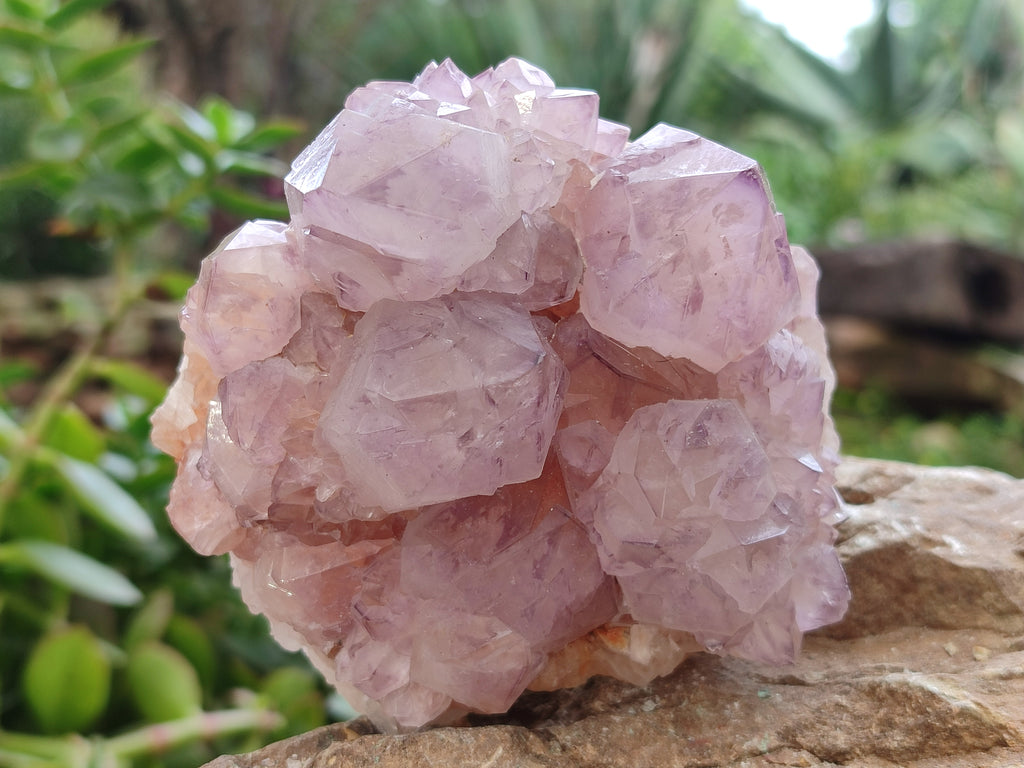 Natural Amethyst Spirit Quartz Clusters x 2 From Boekenhouthoek, South Africa - Toprock Gemstones and Minerals 