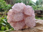 Natural Amethyst Spirit Quartz Clusters x 2 From Boekenhouthoek, South Africa - Toprock Gemstones and Minerals 