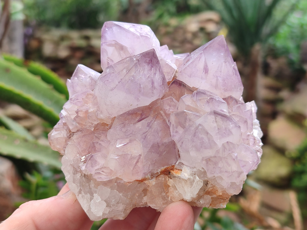 Natural Amethyst Spirit Quartz Clusters x 2 From Boekenhouthoek, South Africa - Toprock Gemstones and Minerals 