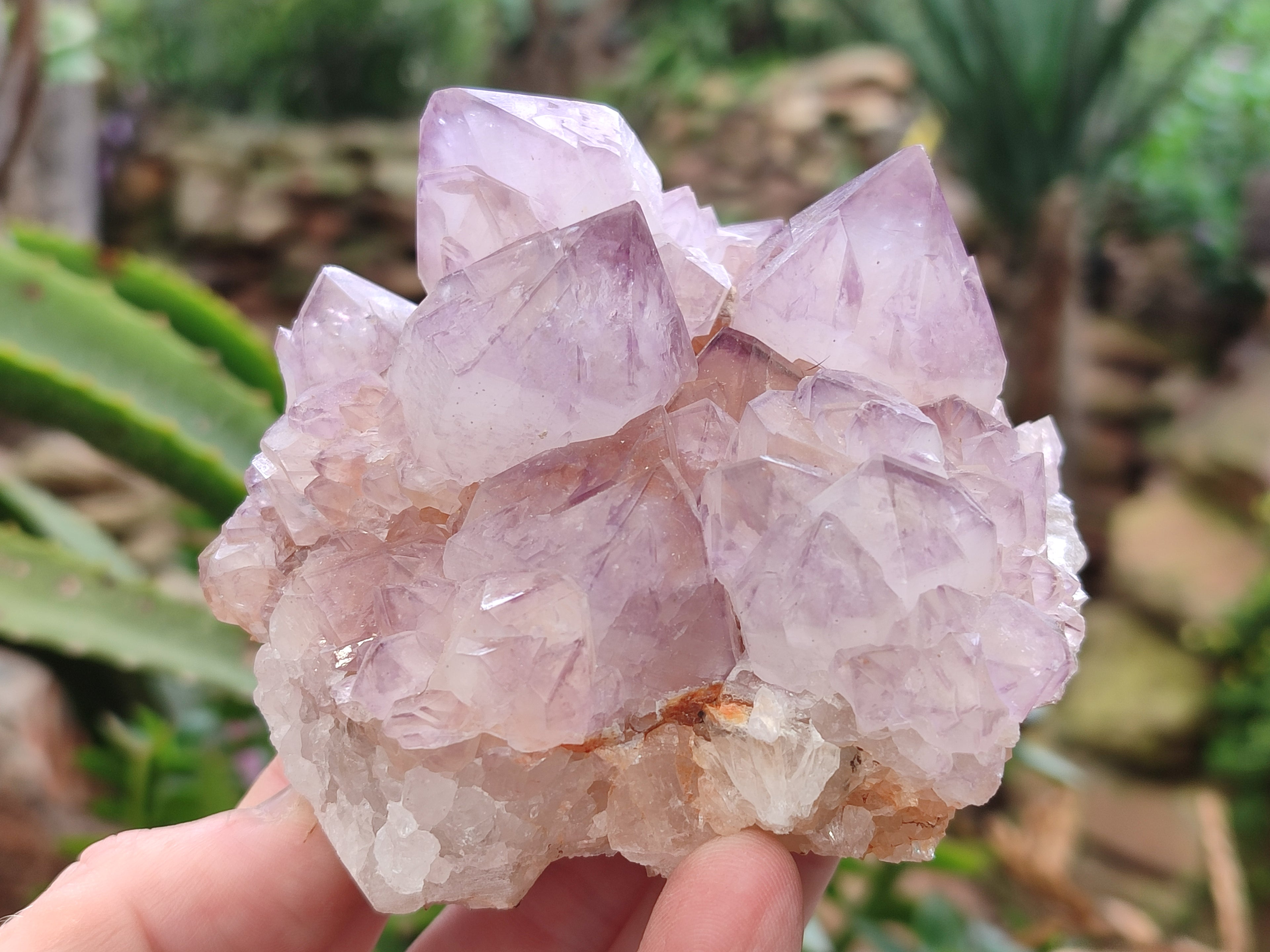 Natural Amethyst Spirit Quartz Clusters x 2 From Boekenhouthoek, South Africa - Toprock Gemstones and Minerals 