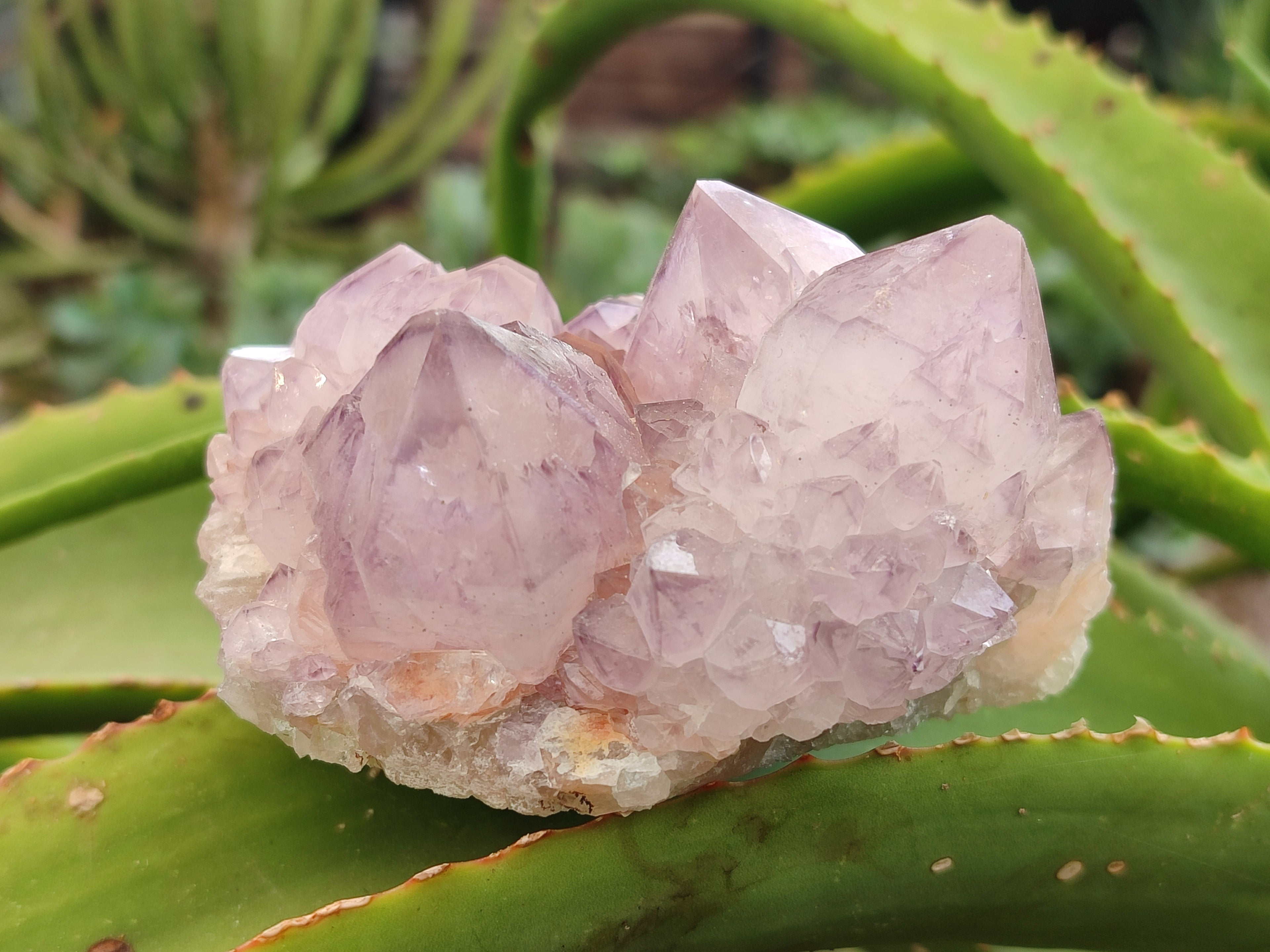 Natural Amethyst Spirit Quartz Clusters x 2 From Boekenhouthoek, South Africa - Toprock Gemstones and Minerals 