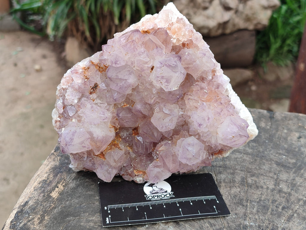 Natural Amethyst Spirit Quartz Clusters x 2 From Boekenhouthoek, South Africa - Toprock Gemstones and Minerals 