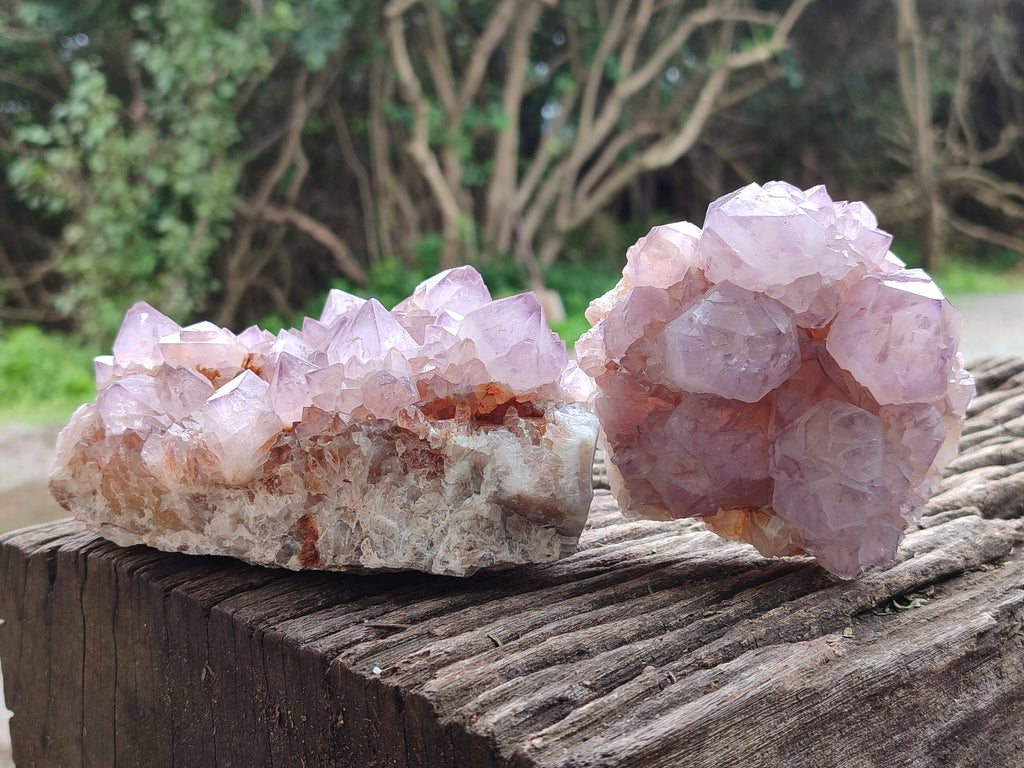 Natural Amethyst Spirit Quartz Clusters x 2 From Boekenhouthoek, South Africa - Toprock Gemstones and Minerals 