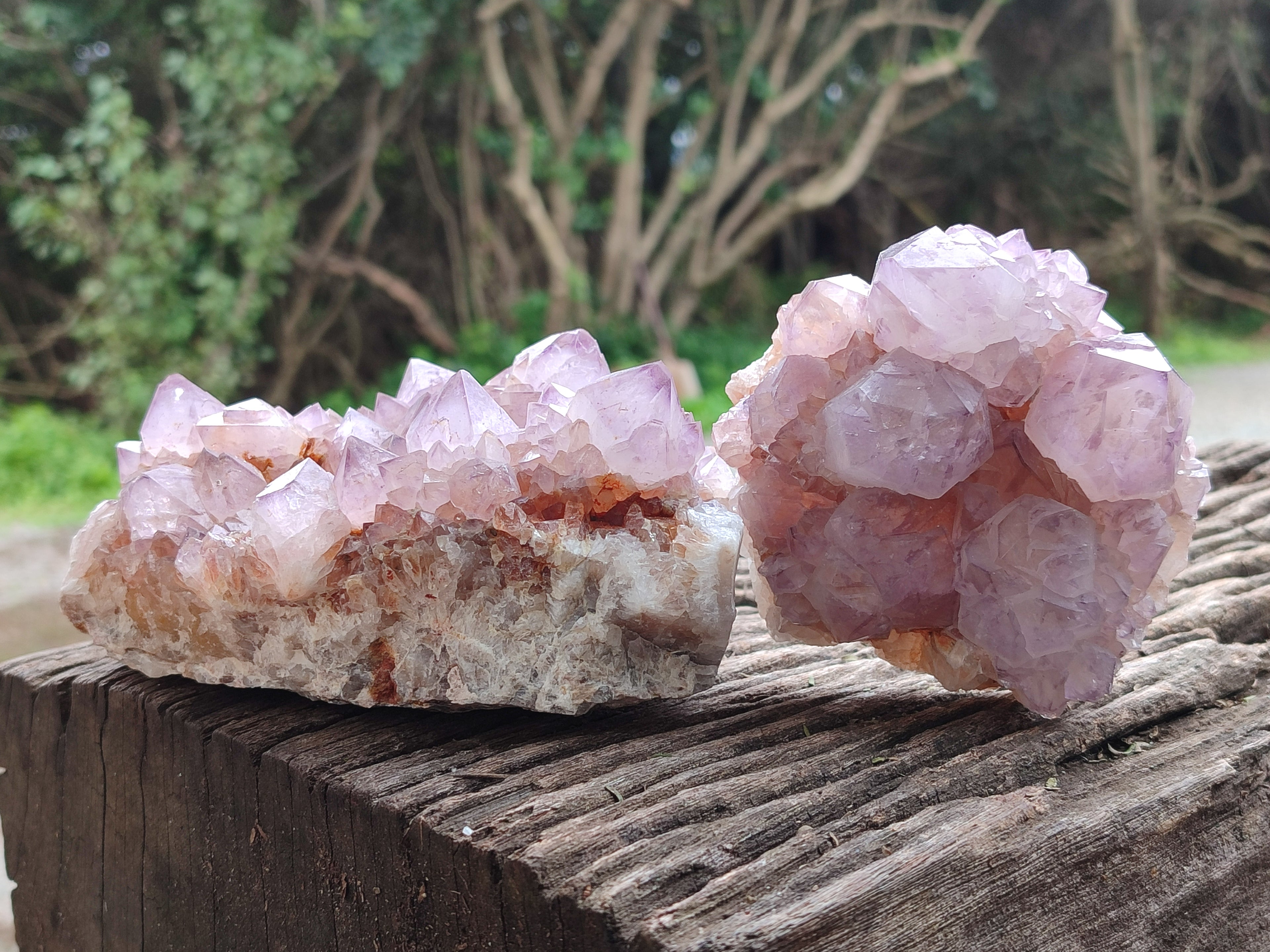 Natural Amethyst Spirit Quartz Clusters x 2 From Boekenhouthoek, South Africa - Toprock Gemstones and Minerals 