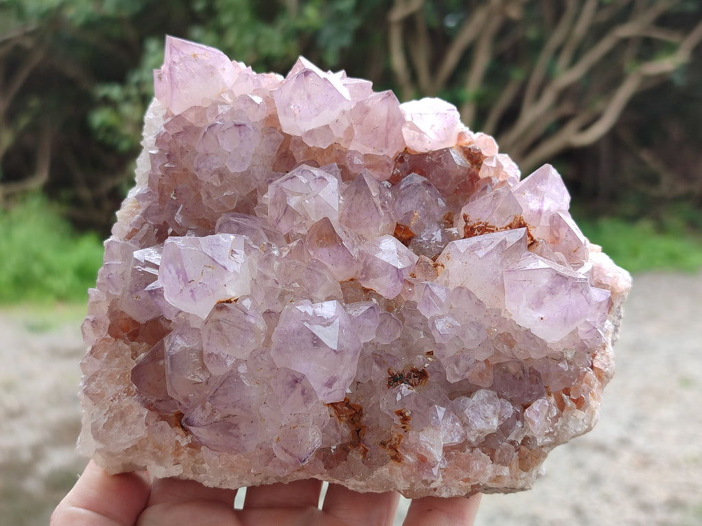 Natural Amethyst Spirit Quartz Clusters x 2 From Boekenhouthoek, South Africa - Toprock Gemstones and Minerals 