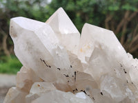 Natural White Candle Quartz Crystal Clusters x 3 From Madagascar
