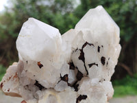 Natural White Candle Quartz Crystal Clusters x 3 From Madagascar