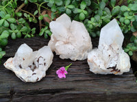 Natural White Candle Quartz Crystal Clusters x 3 From Madagascar
