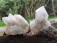 Natural White Candle Quartz Crystal Clusters x 3 From Madagascar