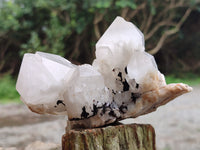 Natural White Candle Quartz Crystal Clusters x 3 From Madagascar