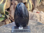 Polished Black Basalt Standing Free Form x 1 From Antsirabe, Madagascar - Toprock Gemstones and Minerals 