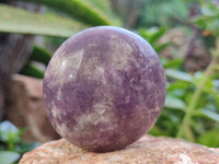 Polished Lepidolite with Pink Rubellite Tourmaline Palm Stones x 24 From Ambatondrazaka, Madagascar