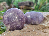 Polished Lepidolite with Pink Rubellite Tourmaline Palm Stones x 24 From Ambatondrazaka, Madagascar