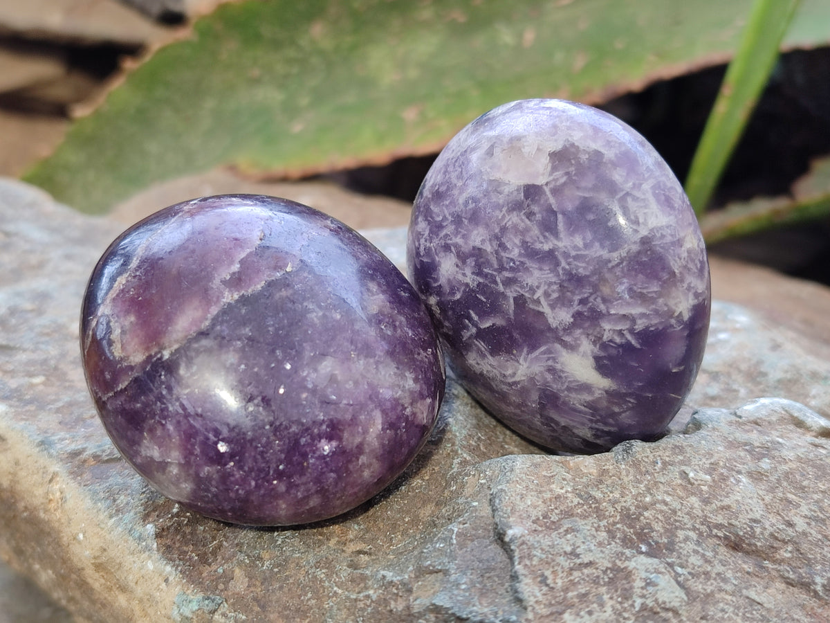 Polished Lepidolite with Pink Rubellite Tourmaline Palm Stones x 24 From Ambatondrazaka, Madagascar - Toprock Gemstones and Minerals 
