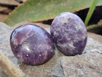 Polished Lepidolite with Pink Rubellite Tourmaline Palm Stones x 24 From Ambatondrazaka, Madagascar
