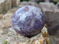 Polished Lepidolite with Pink Rubellite Tourmaline Palm Stones x 24 From Ambatondrazaka, Madagascar